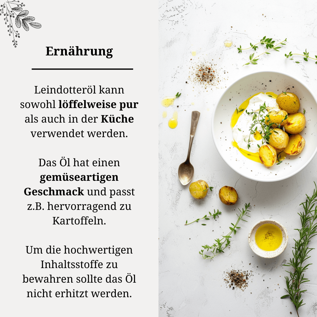 Leindotteröl Ernährung