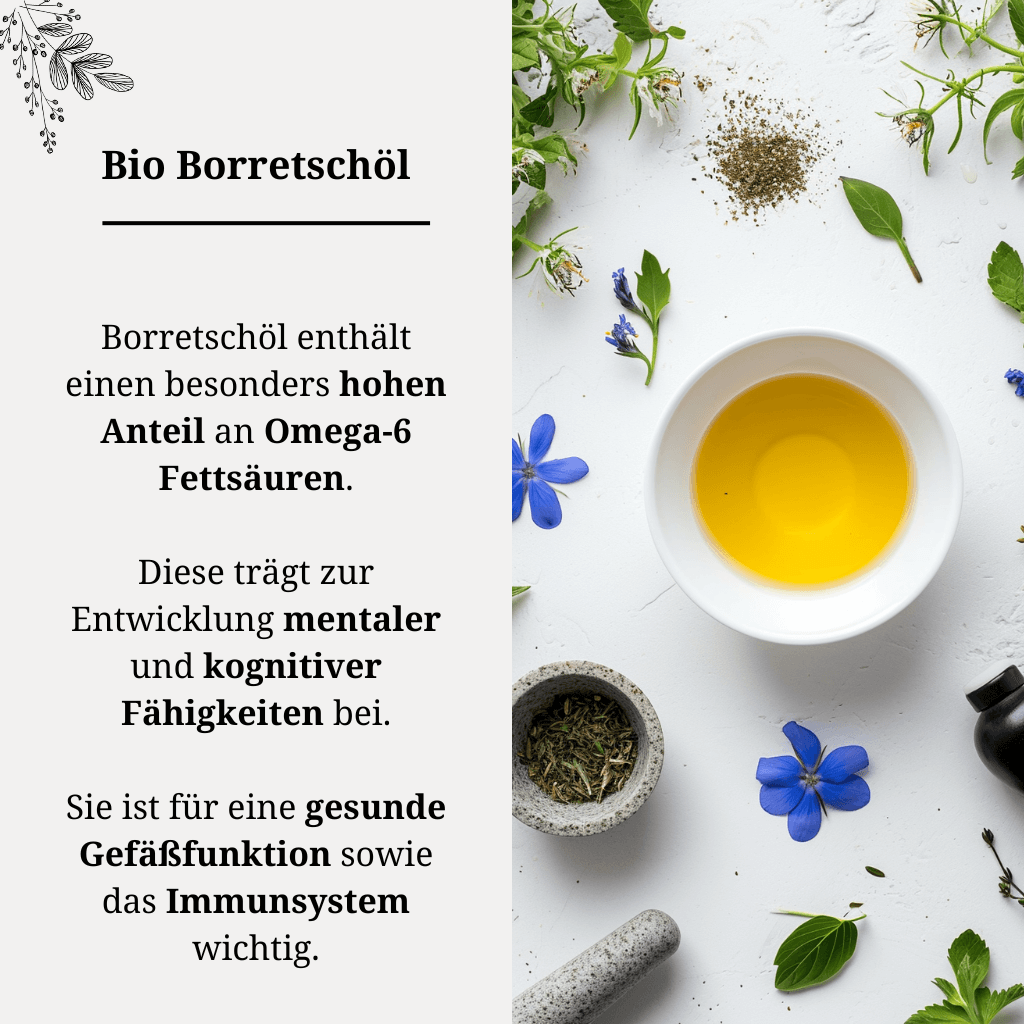 Borretschöl Bio kaltgepresst Allgemein